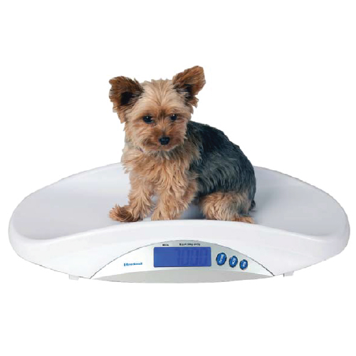 Dog Weighing Scales Uk, Pet Weighing Scales