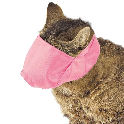 cat muzzle for meowing