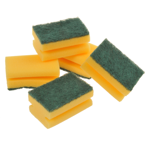Sponge Scourers